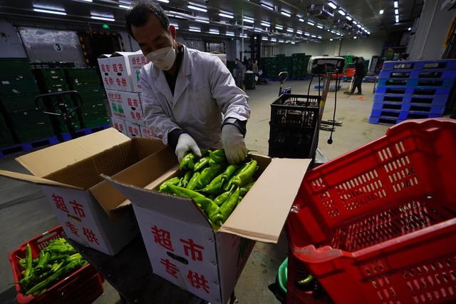 食品配送(食品配送服务方案及配送保障措施)