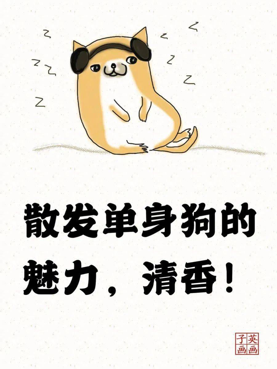 单身生活(单身生活的感悟)
